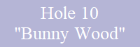 Hole 10
"Bunny Wood"