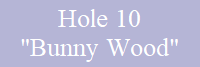 Hole 10
"Bunny Wood"