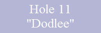 Hole 11
"Dodlee"