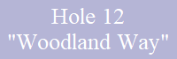 Hole 12
"Woodland Way"