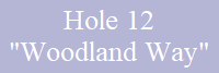 Hole 12
"Woodland Way"