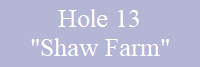 Hole 13
"Shaw Farm"