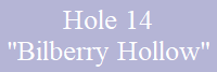 Hole 14
"Bilberry Hollow"