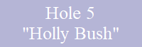 Hole 5
"Holly Bush"