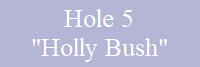 Hole 5
"Holly Bush"