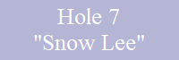 Hole 7
"Snow Lee"