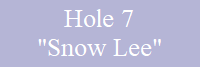 Hole 7
"Snow Lee"