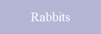 Rabbits